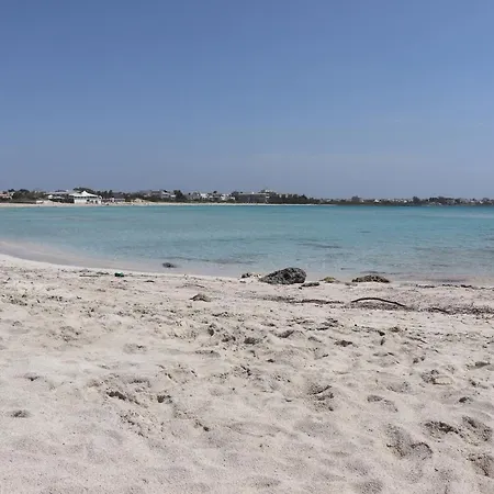 Passione Del Sud * ليتشي